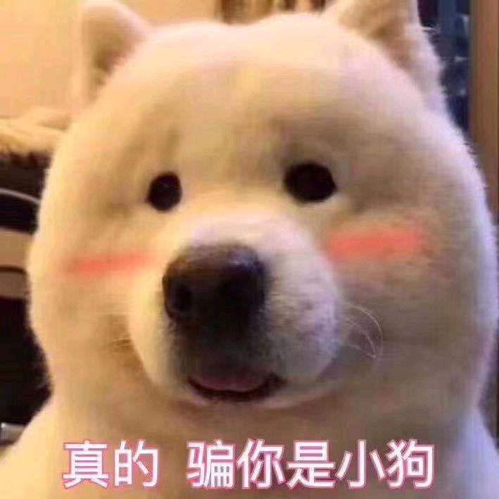 一上班我就犯困