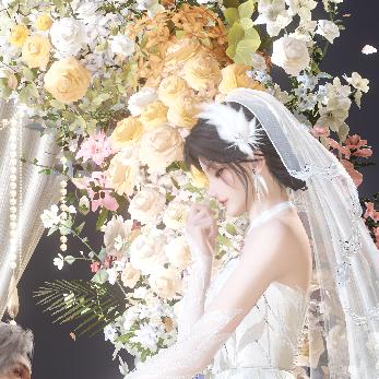 丨（永远追随国树版）