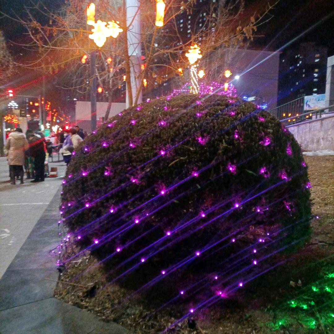 花漾年华