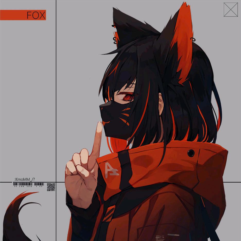 一只路过的白狐