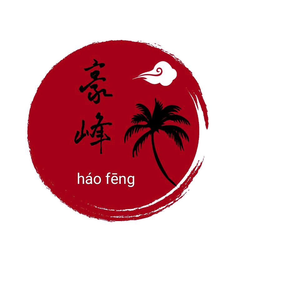 豪峰吊装