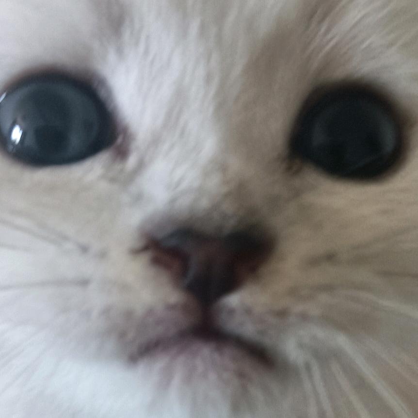 波波