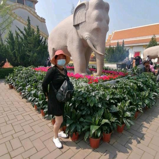 ，(ღ♡幸福一生‿♡ღ)