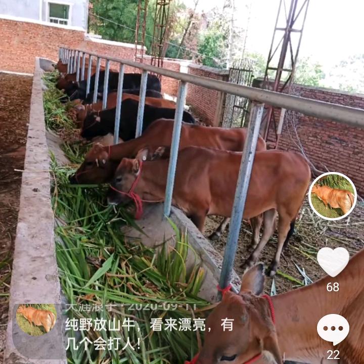 天涯浪子，诚信天下！