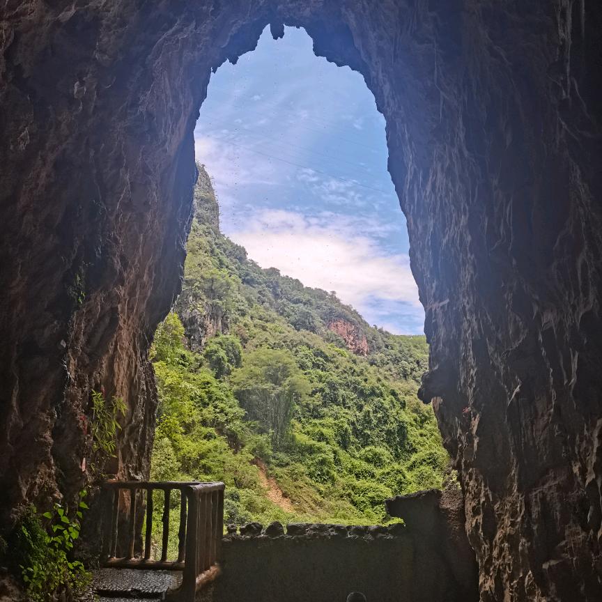 杰哥
