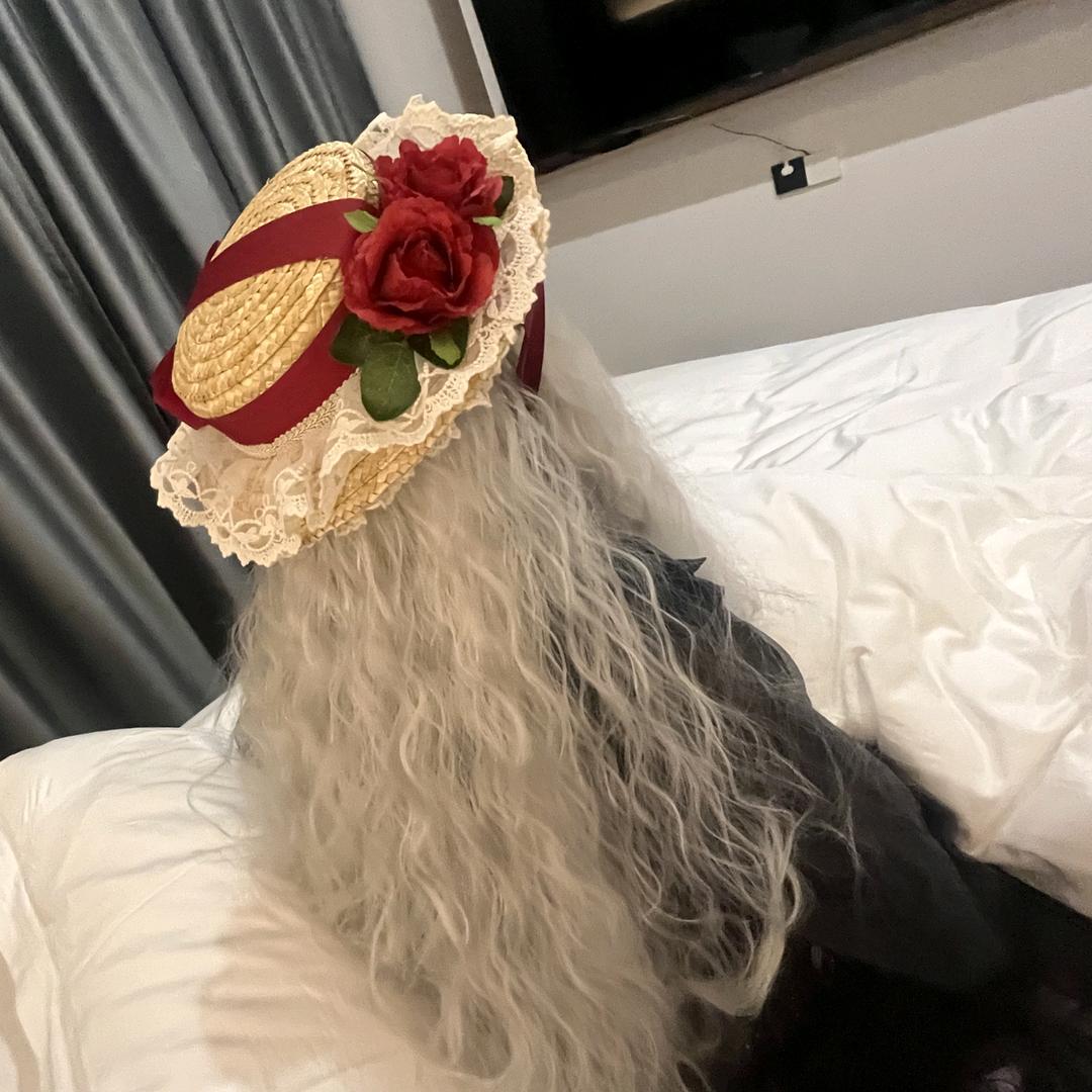 危机中的殷怡头像