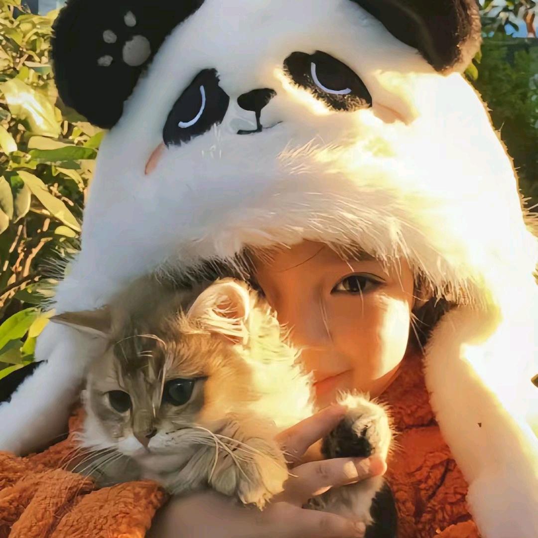 元宝爱分享