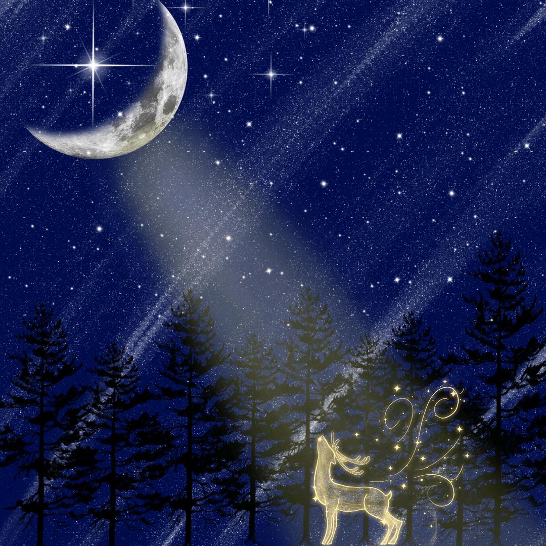 哞哞的日常生活