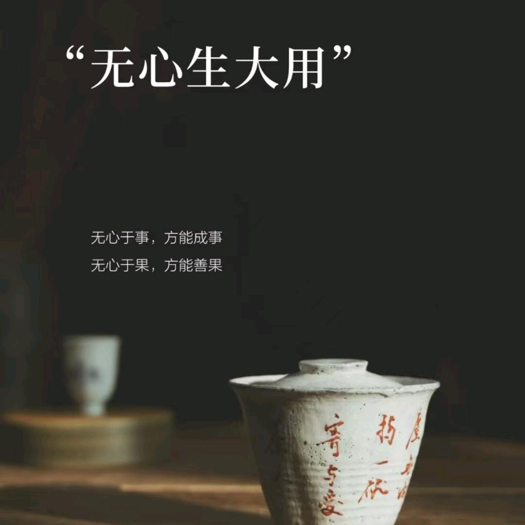 新会陈皮(柑语心道)