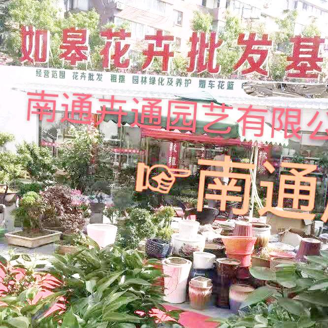 （花木哥）花卉批发基地（南通店）
