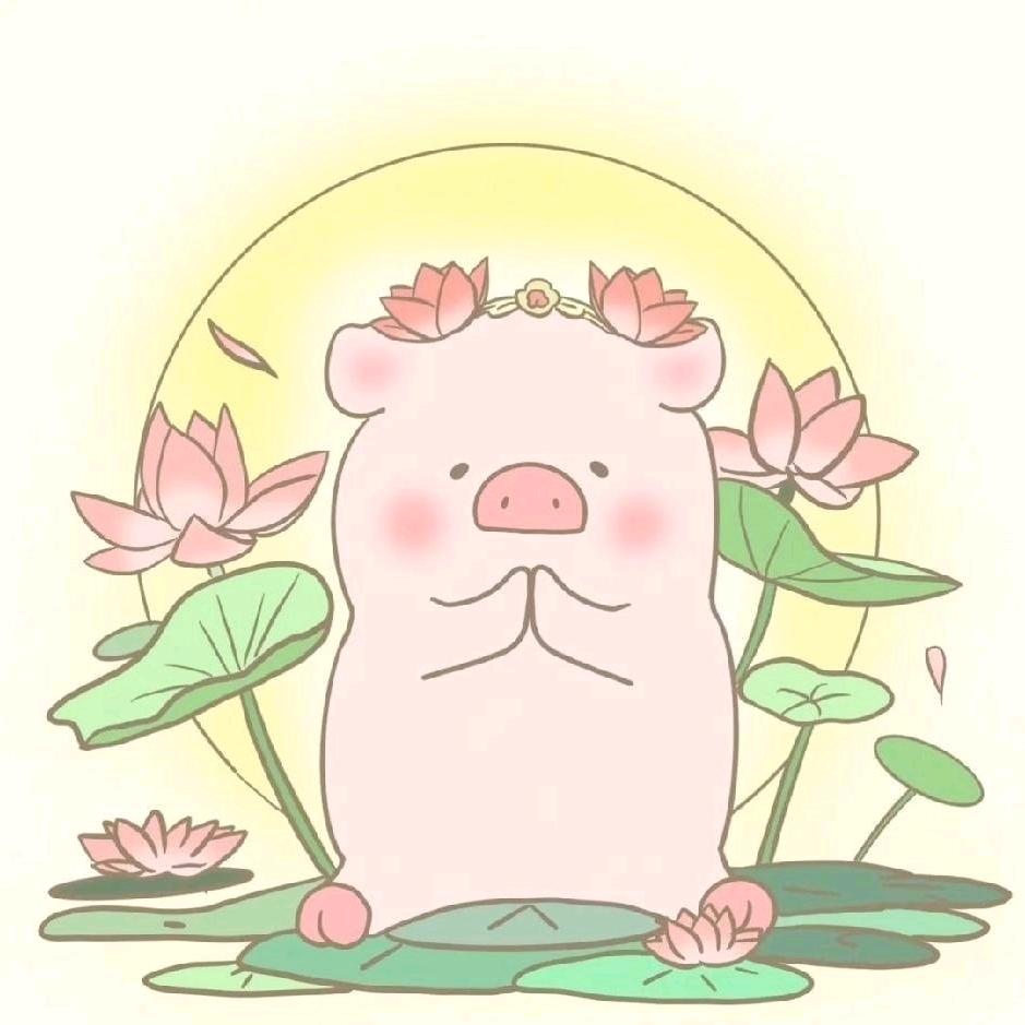 小猪包｜大学生就业指导