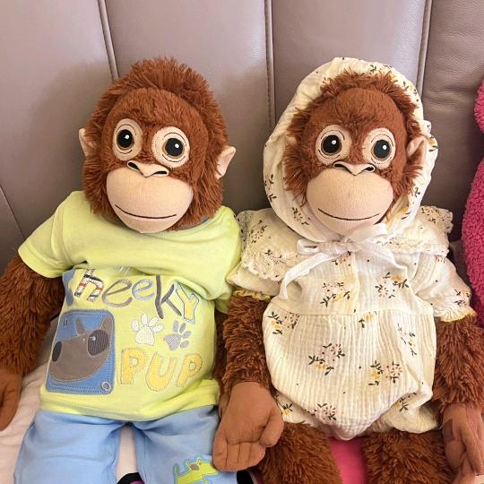 晖升食用油专营店