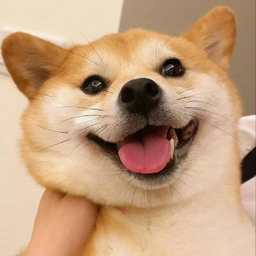 ¡