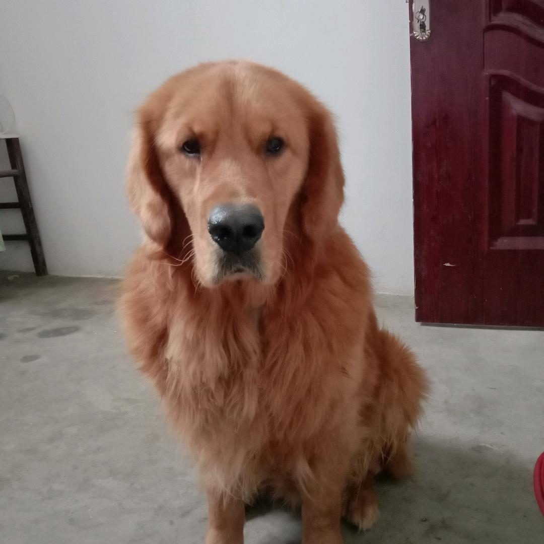 千杯不醉