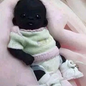 ヾ(❀刚老表╹◡╹)ﾉﾞ❀~