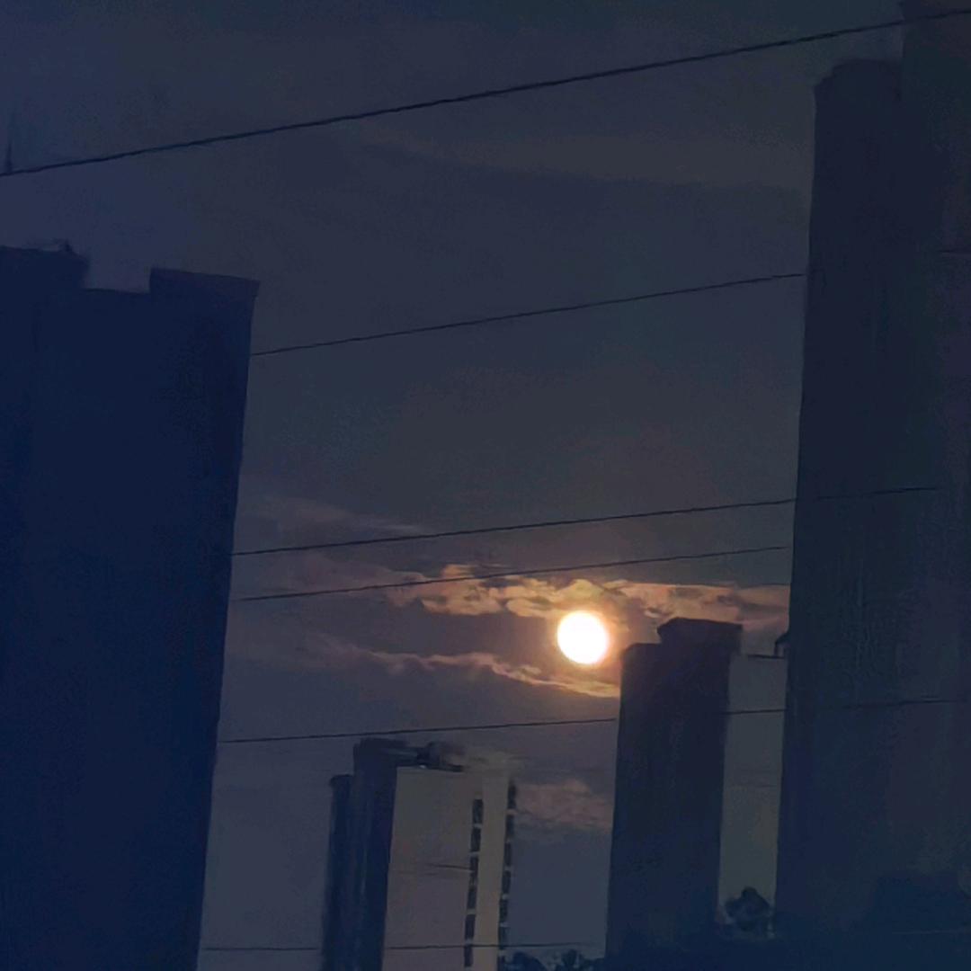 阿里国际站丛sir