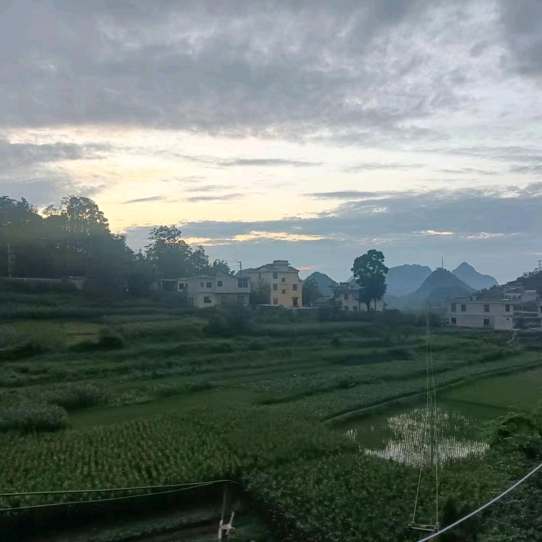 芬芳艳丽
