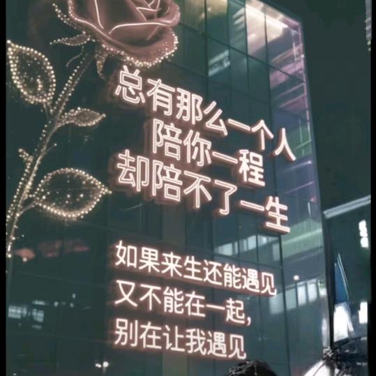 (ಡωಡ) 岁月静好(๑Ő௰Ő๑)