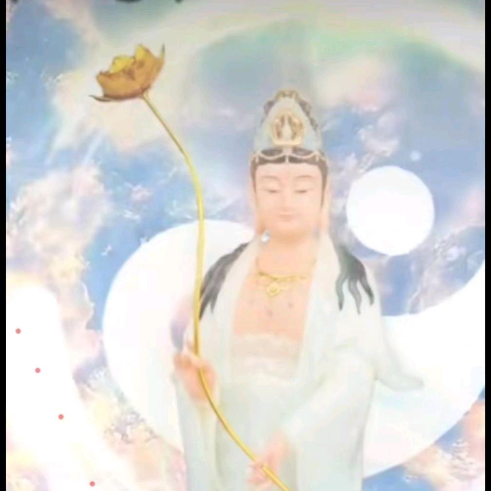越来越好(善缘🍬)
