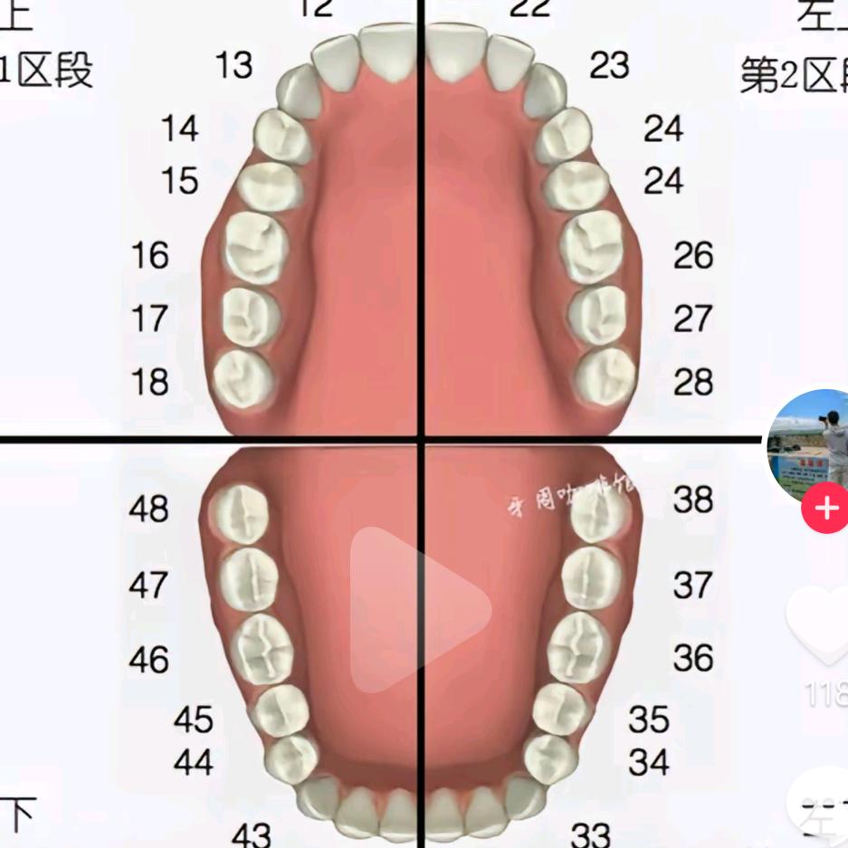 口腔美容师