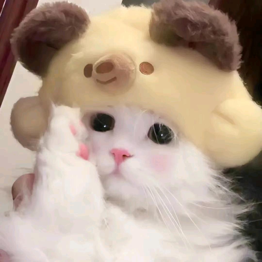 我可皮了QAQ