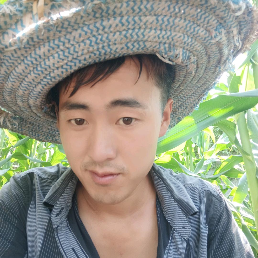 杨疯子
