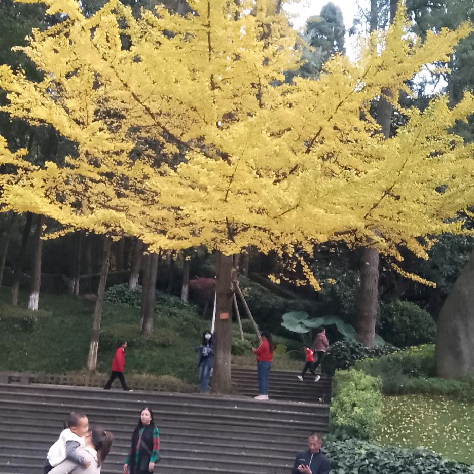 红旗红渠