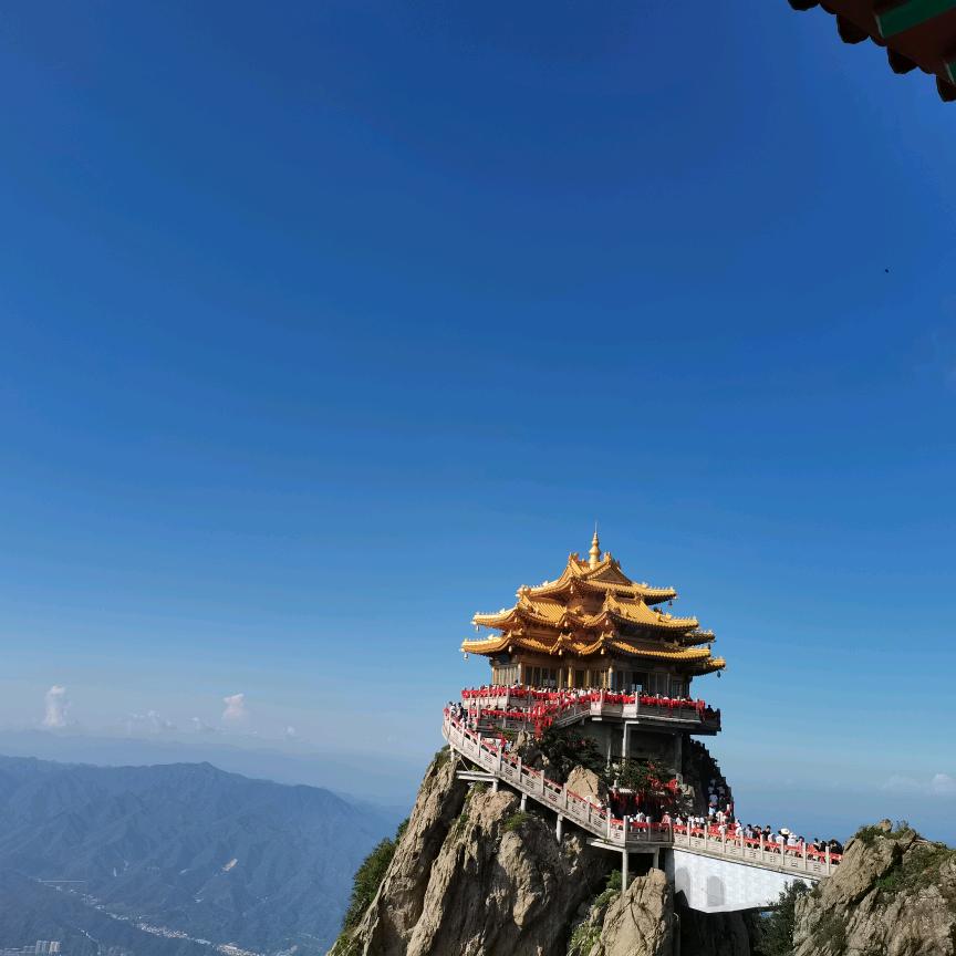小马爱吃饭