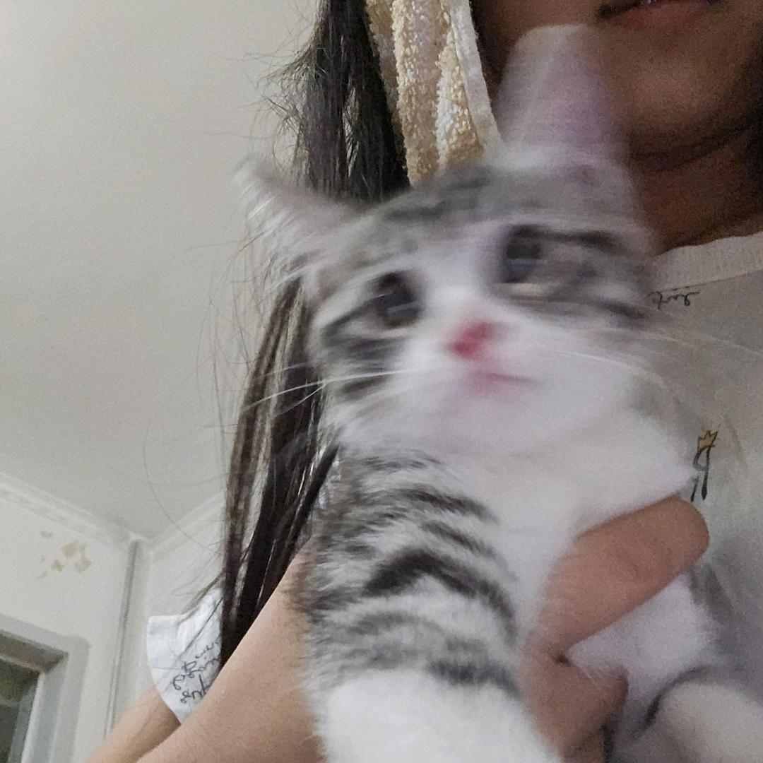 每天能力满满！