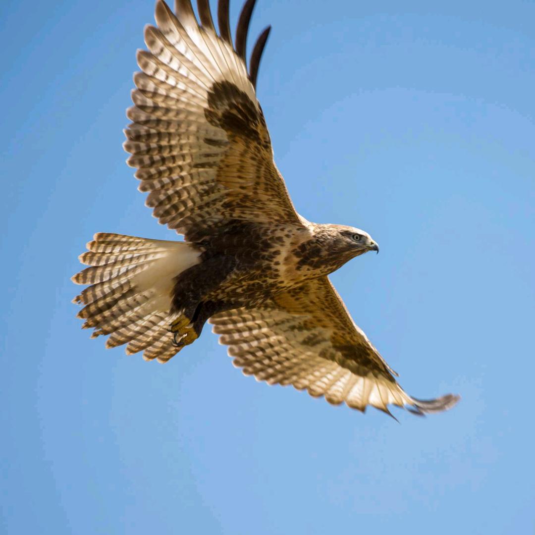 ★★海阔天空★★