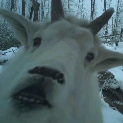 ﾚ(ﾟ∀ﾟ;)ﾍ