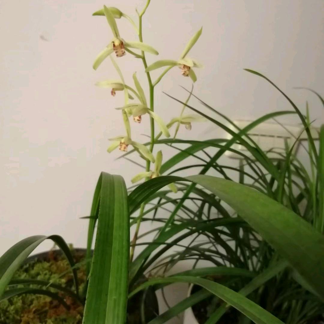 开开心心每天一天