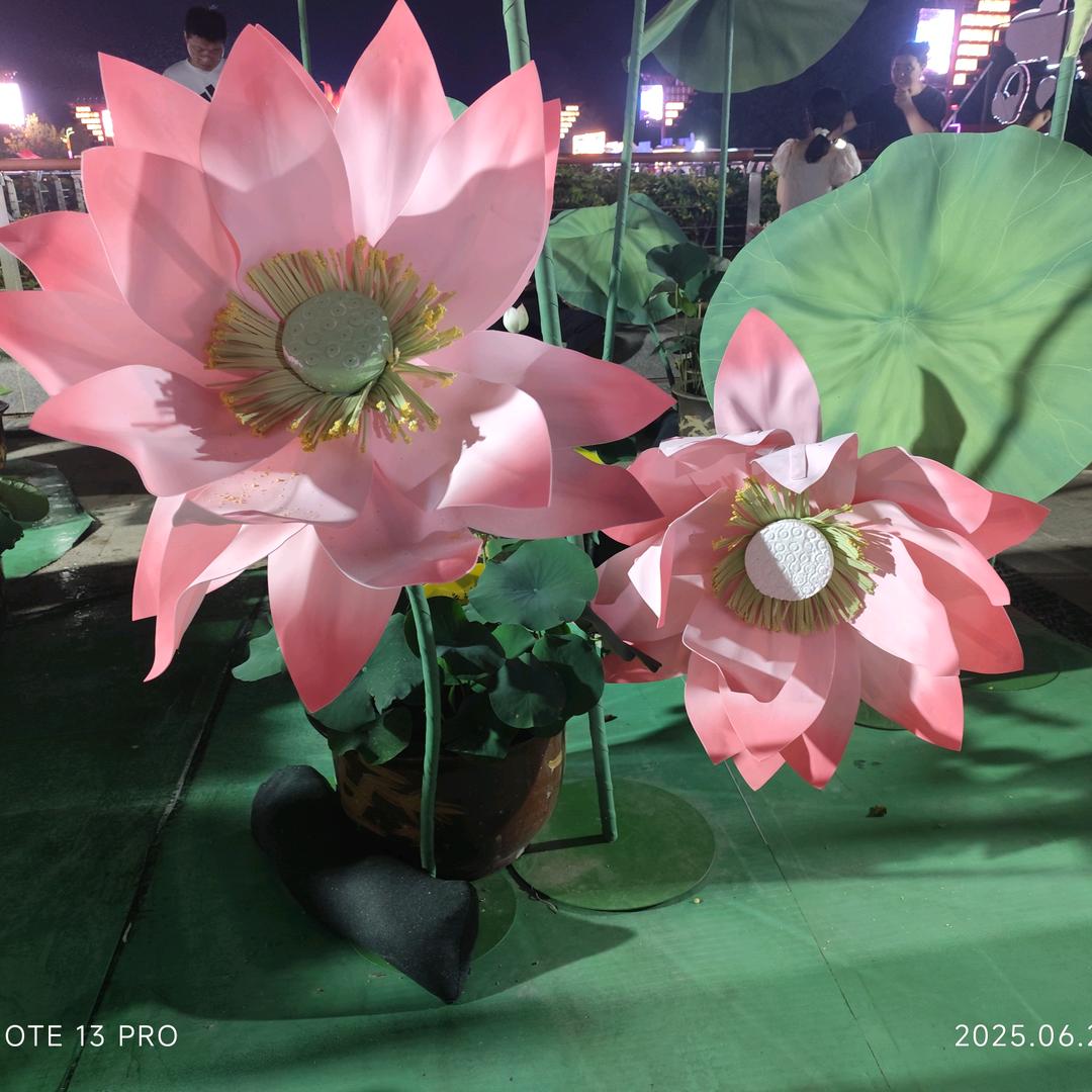 茉莉花茶