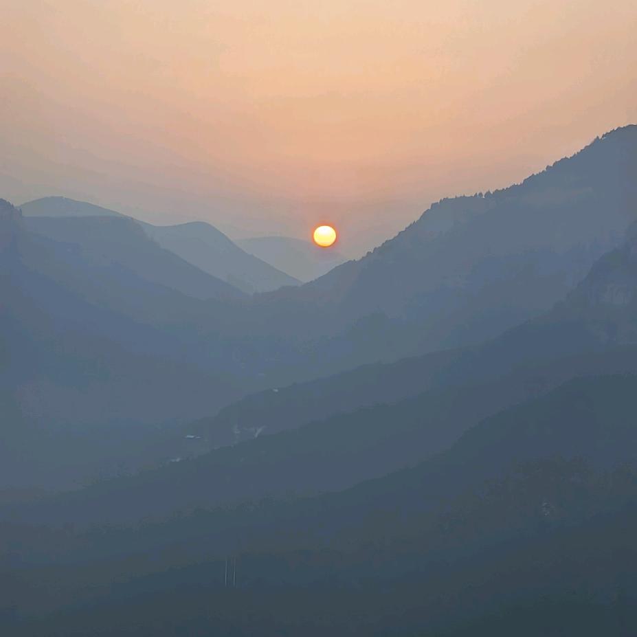 me是实验博主