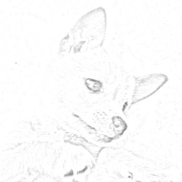 伽蓝