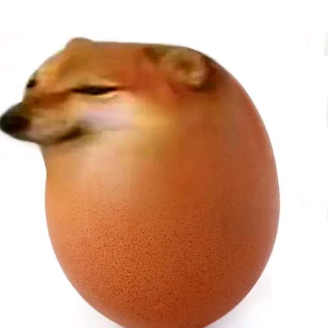 🐶🥚
