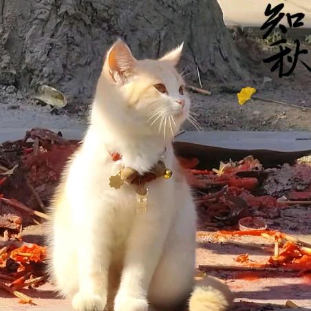 探骊