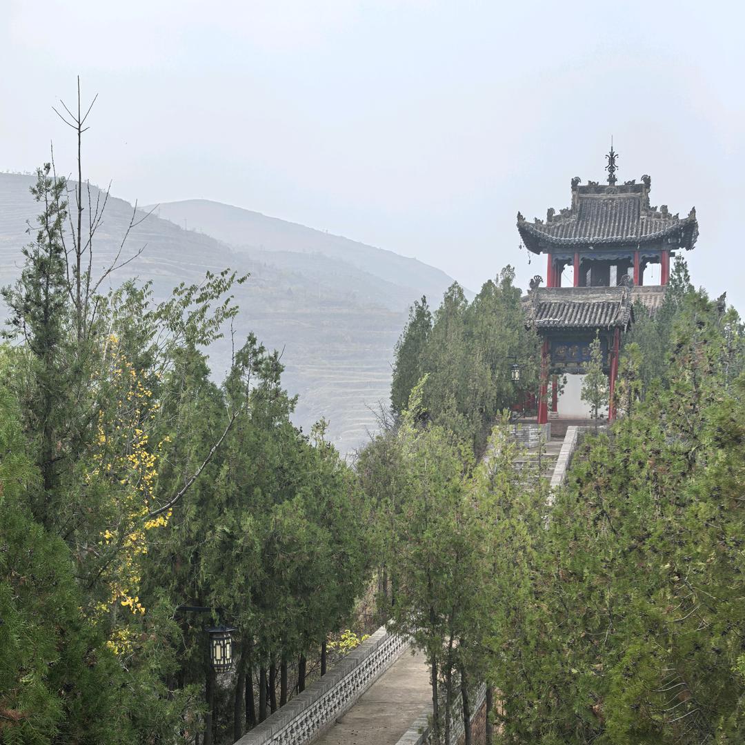 山西泸天化-大乔