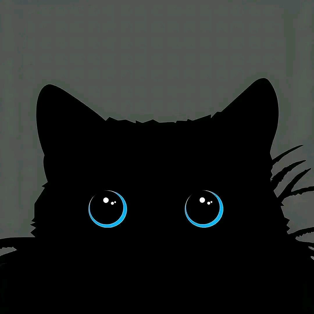 🔱来世今生⚜️（刺客）