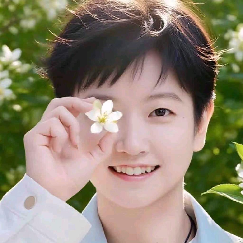 美梦宸真
