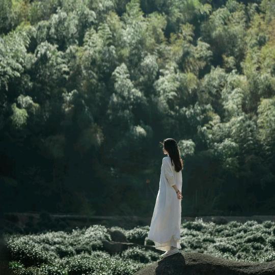 清念净心