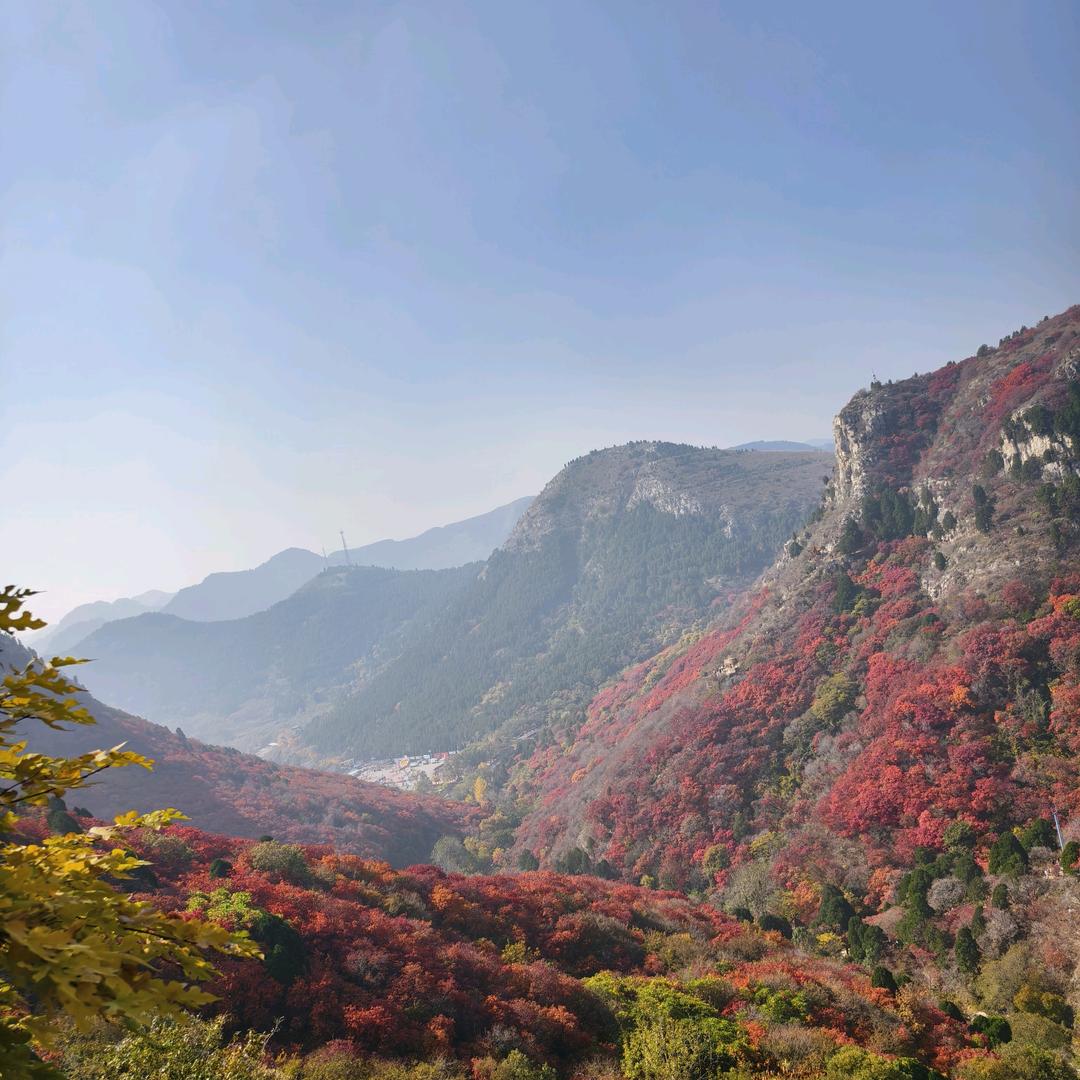 俺村我最俊