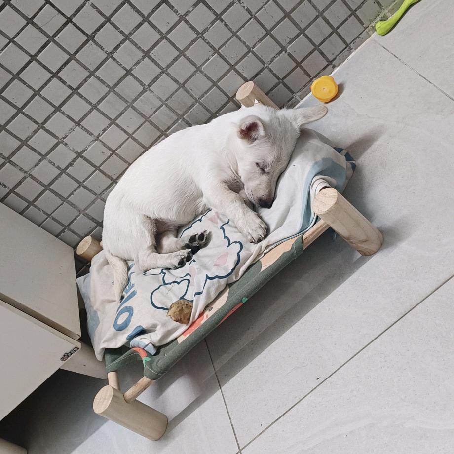 这个名字不太长