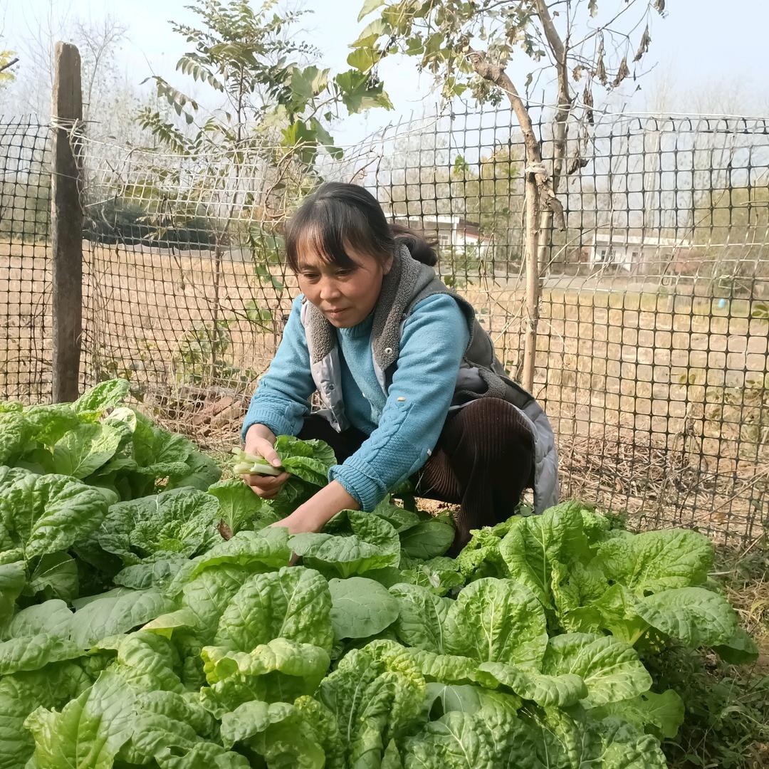 余姐牵手