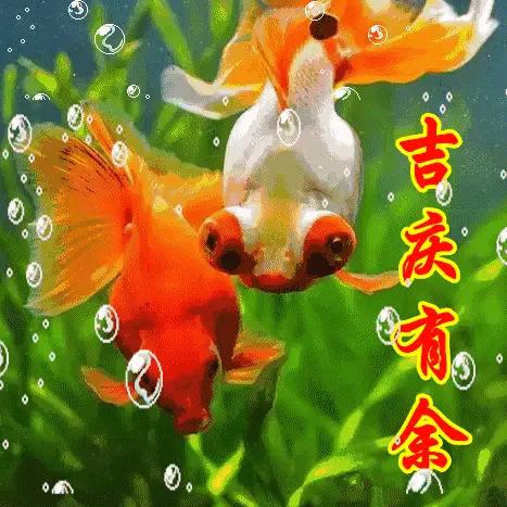 🌞🌞向阳而生