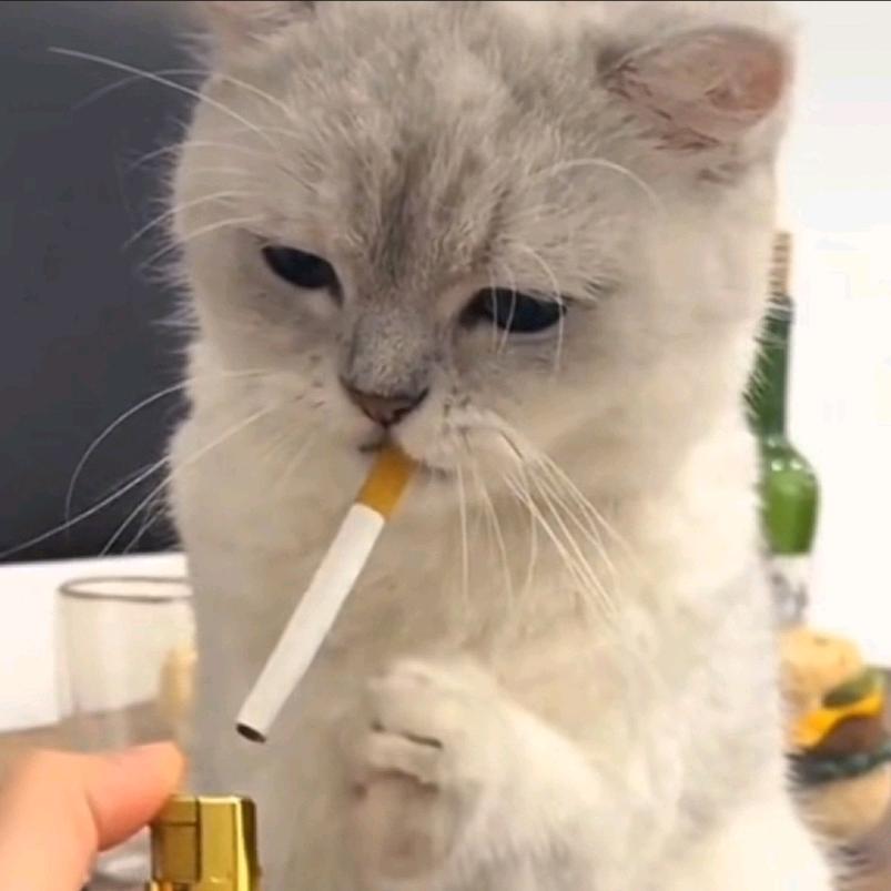 小酒、