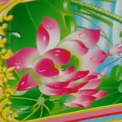 我命由我不由天