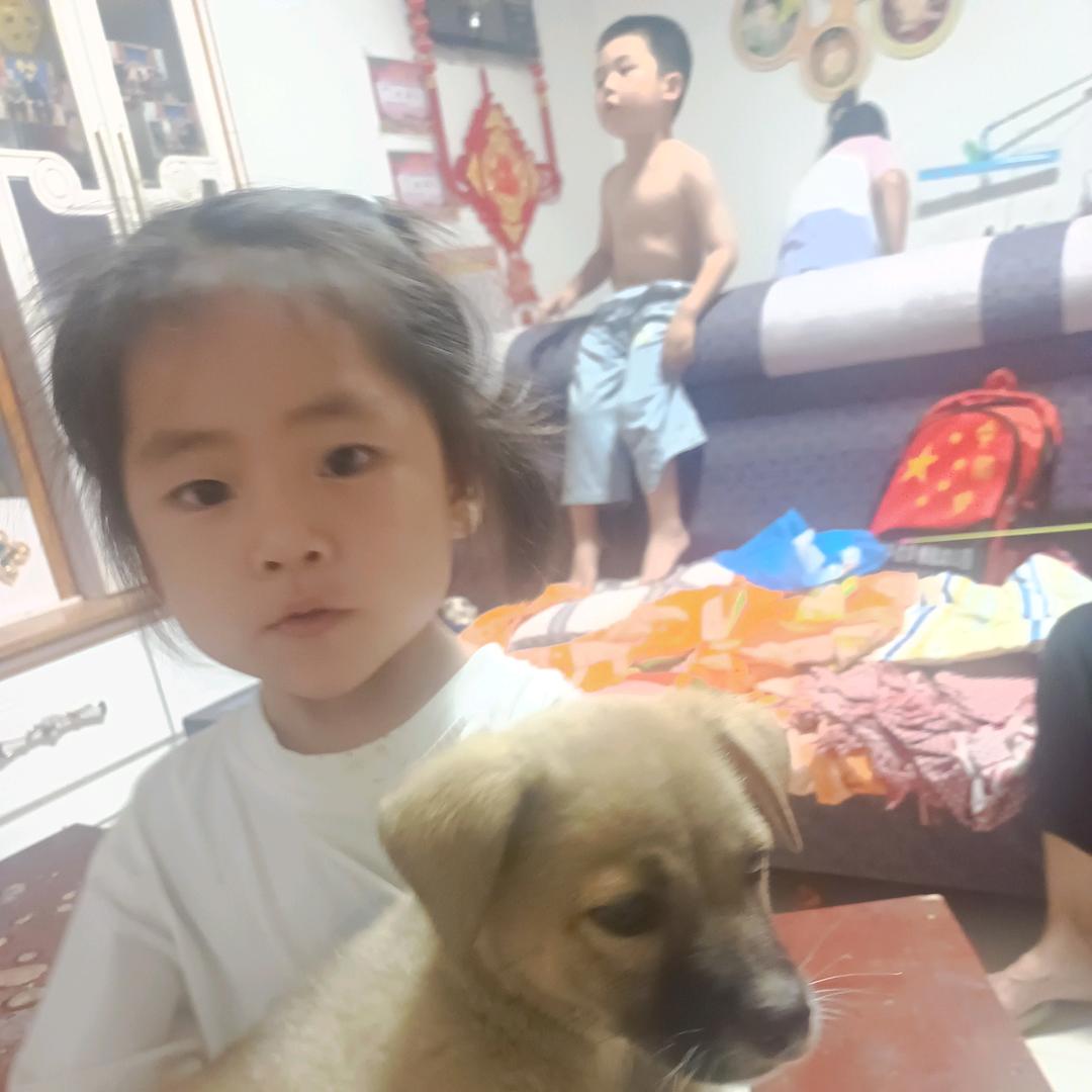 商水小杨