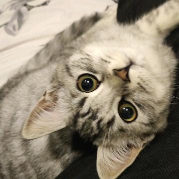 早睡早起 保重身体