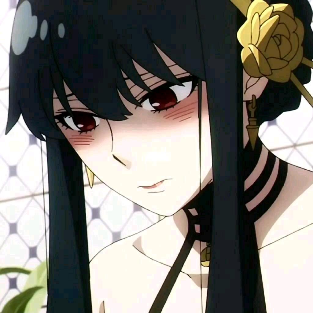 弹簧喵